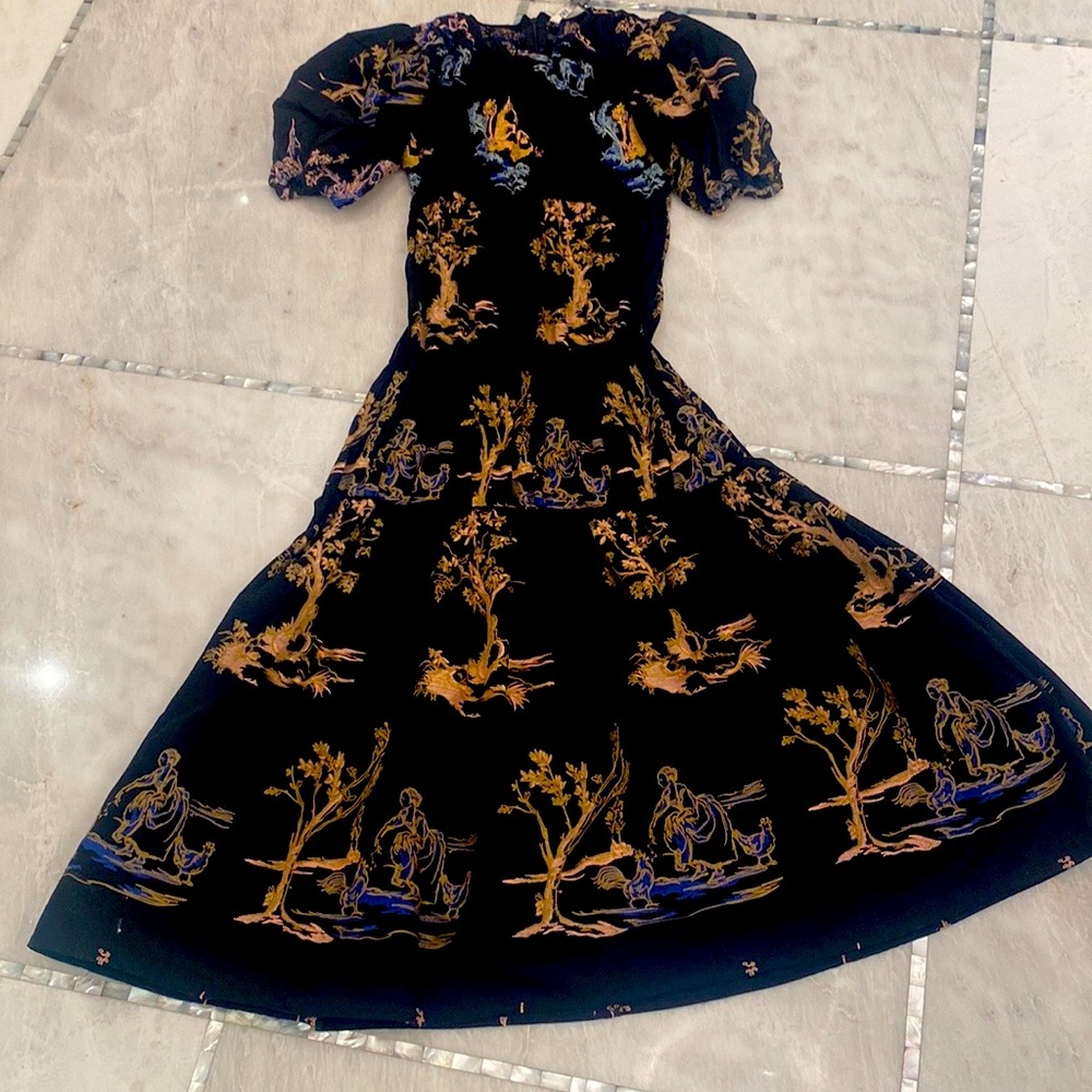 Stunning Zara print midi dress